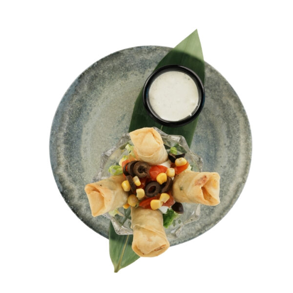 Santa-Fe Spring Rolls