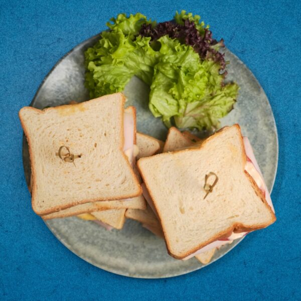 Turkey & Cheese Toasts